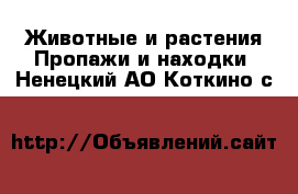 Животные и растения Пропажи и находки. Ненецкий АО,Коткино с.